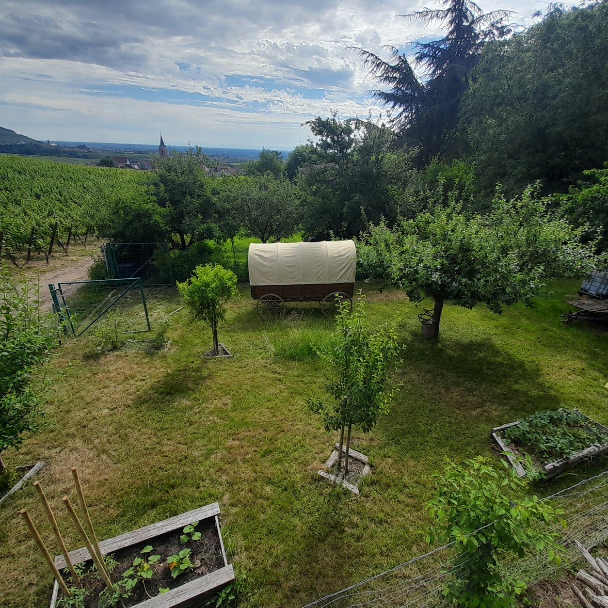 La charrette dans son jardin, vue d'ensemble